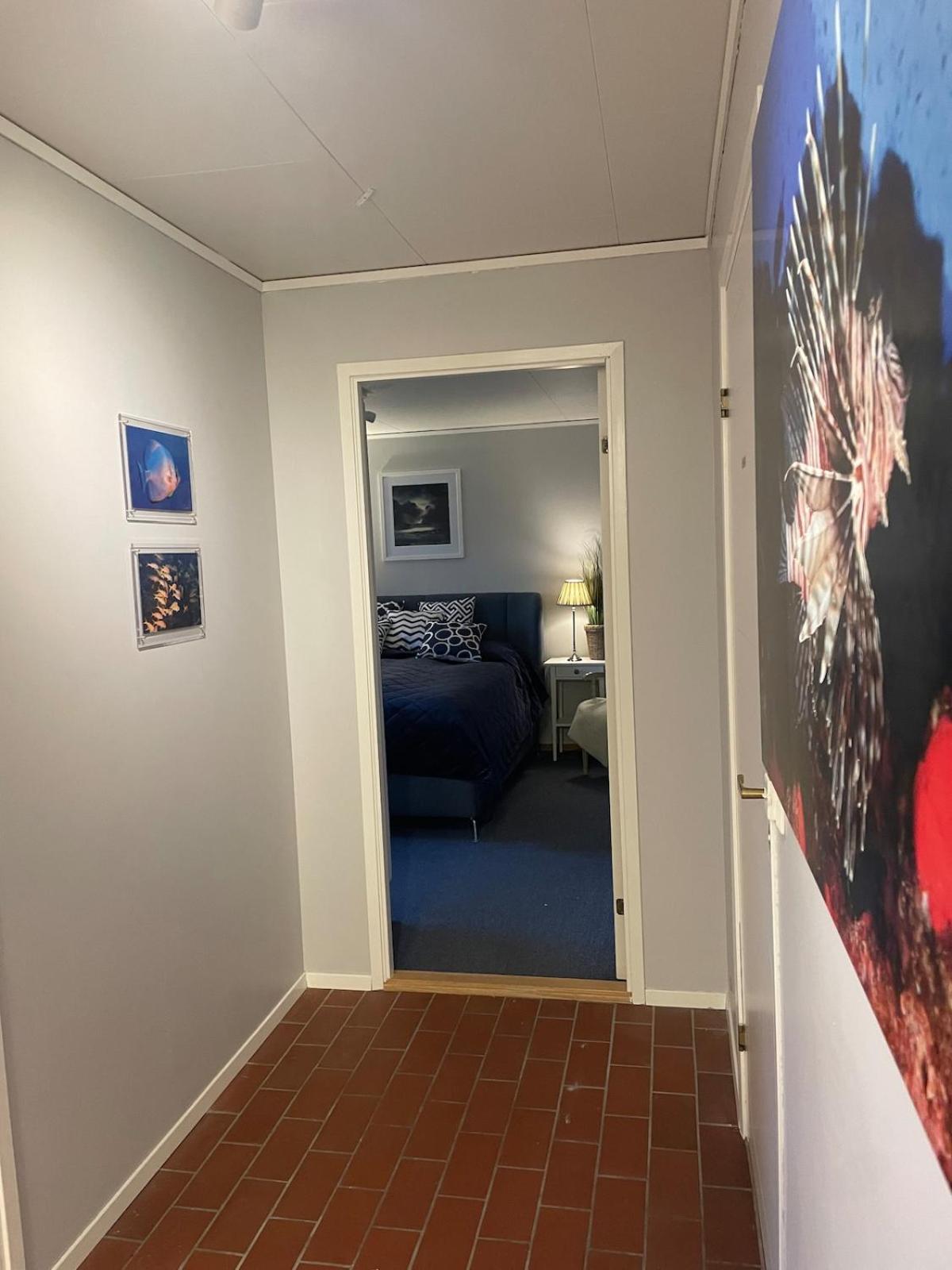 Apartment And Comfortable *